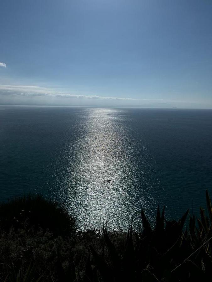 B&B Calabria Mare Falerna Eksteriør billede