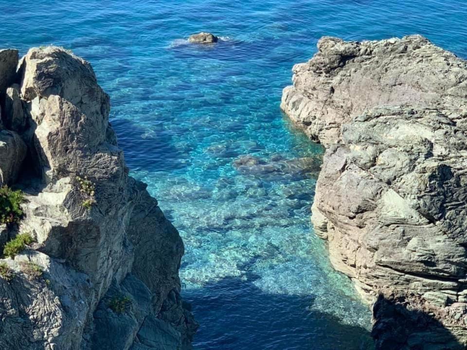 B&B Calabria Mare Falerna Eksteriør billede