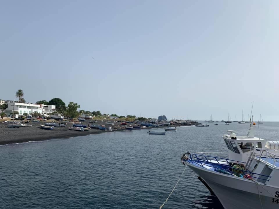 B&B Calabria Mare Falerna Eksteriør billede