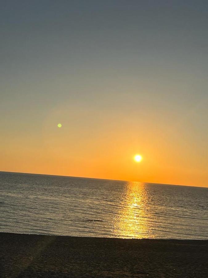 B&B Calabria Mare Falerna Eksteriør billede