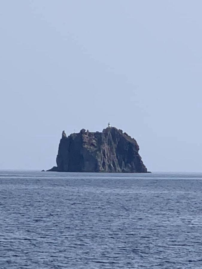 B&B Calabria Mare Falerna Eksteriør billede